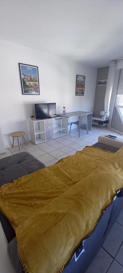 Appartamento Le Petit Loup Palois - Terrasse & Wifi Fibre Pau Esterno foto