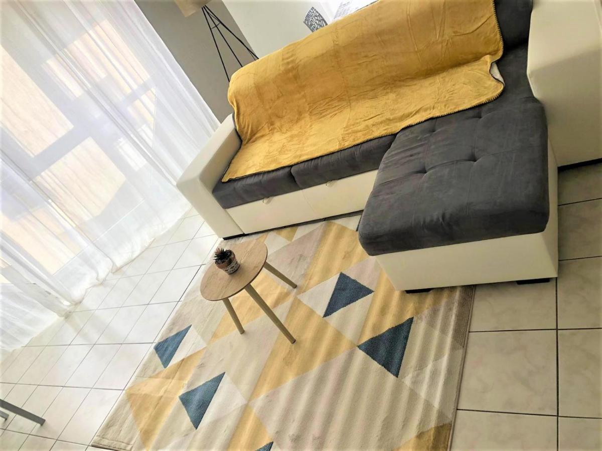 Appartamento Le Petit Loup Palois - Terrasse & Wifi Fibre Pau Esterno foto